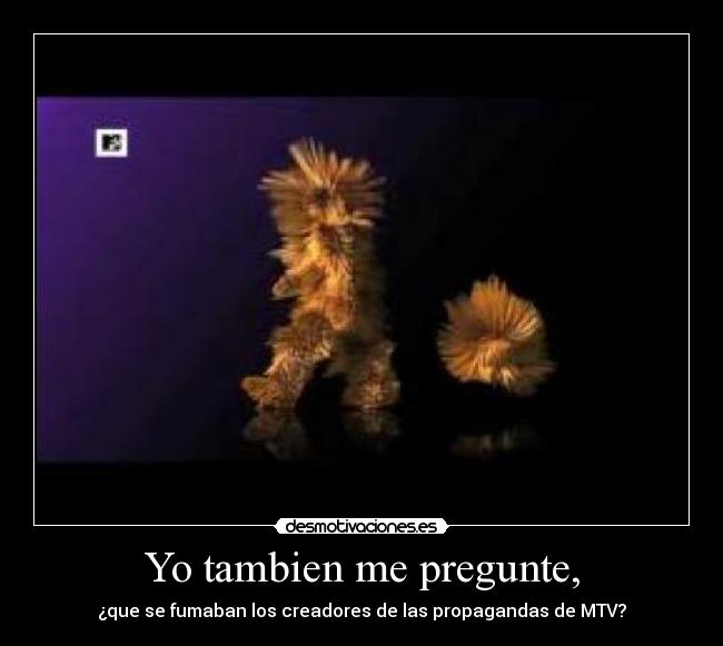Yo tambien me pregunte, - ¿que se fumaban los creadores de las propagandas de MTV?