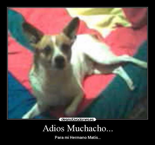 Adios Muchacho... -