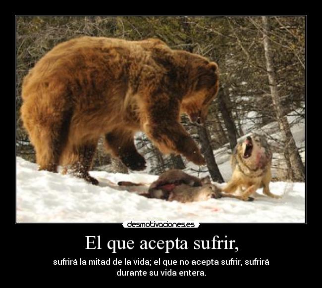El que acepta sufrir, -
