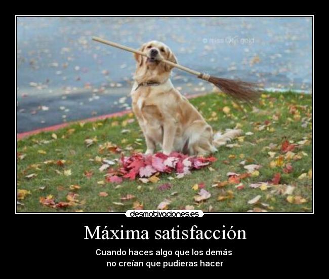 Máxima satisfacción - Cuando haces algo que los demás
no creían que pudieras hacer