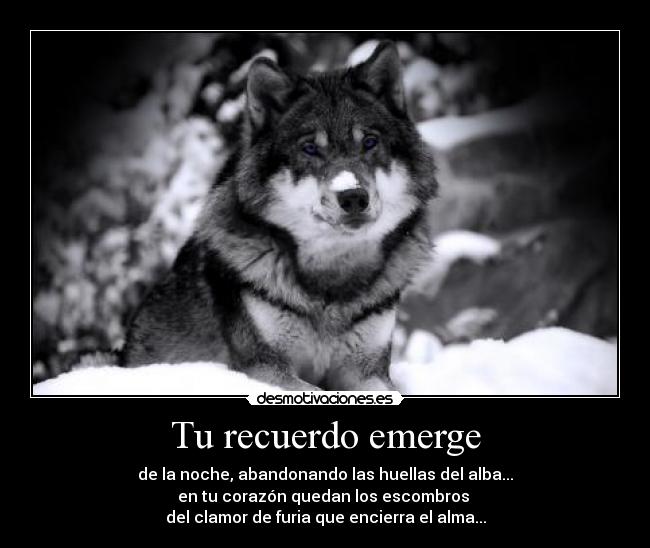 Tu recuerdo emerge - 