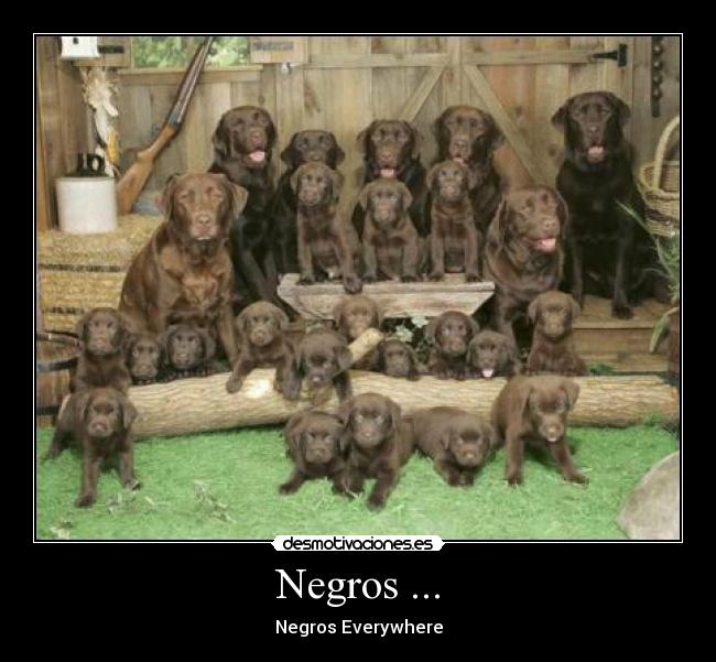 Negros ... - Negros Everywhere