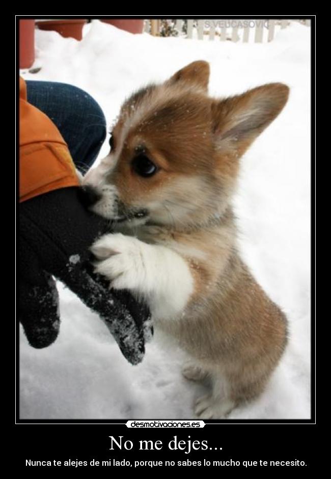 No me dejes... -