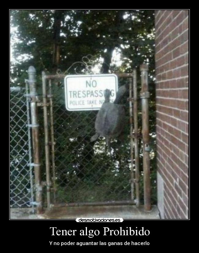 Tener algo Prohibido -