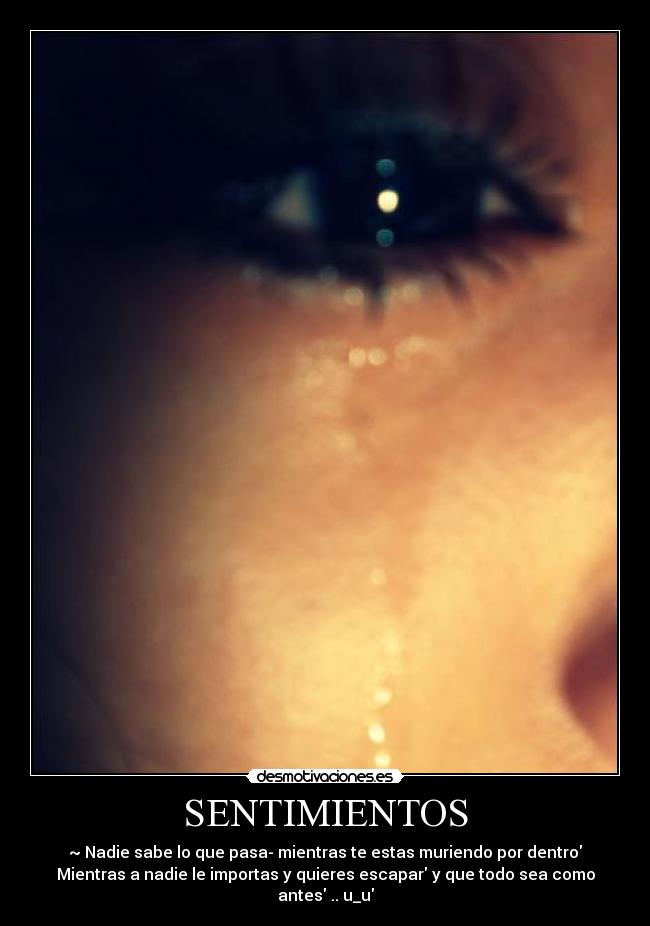 carteles sentimientos minna desmotivaciones