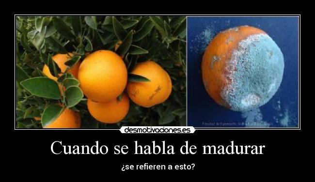 Cuando se habla de madurar -