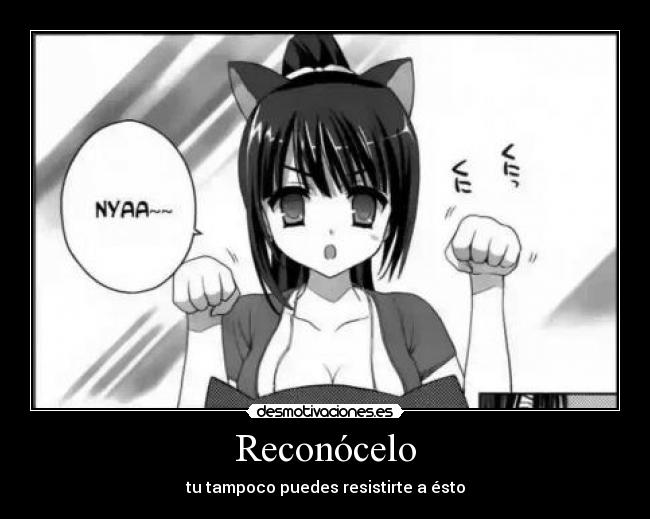 carteles seraphine nekomimi kore zombie desmotivaciones