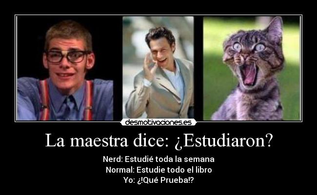 La maestra dice: ¿Estudiaron? -