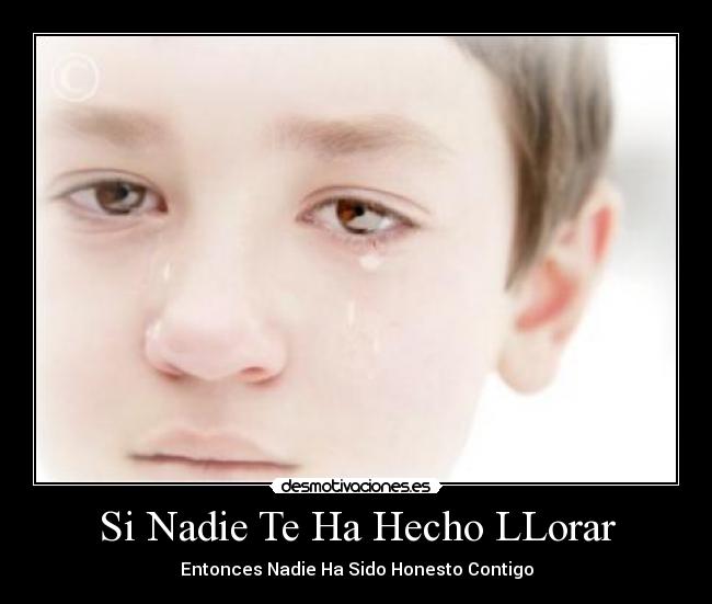 Si Nadie Te Ha Hecho LLorar - Entonces Nadie Ha Sido Honesto Contigo
