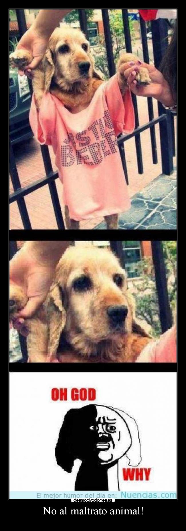 No al maltrato animal! -