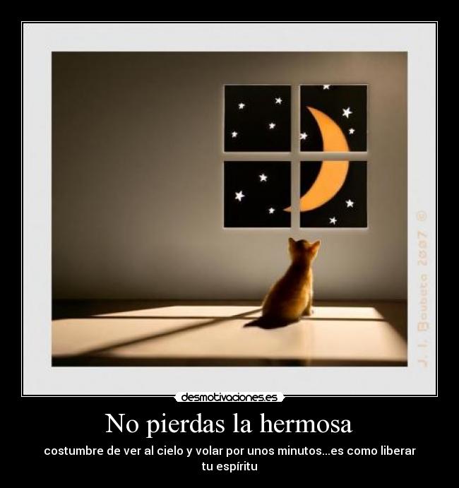 No pierdas la hermosa -