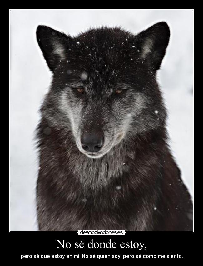 No sé donde estoy, -