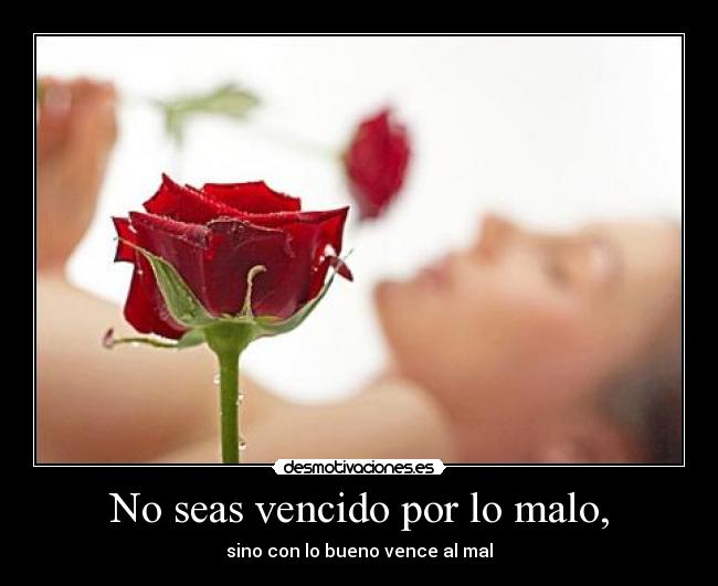 No seas vencido por lo malo, - sino con lo bueno vence al mal