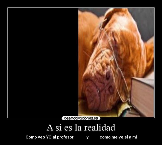 A si es la realidad - Como veo YO al profesor             y           como me ve el a mi