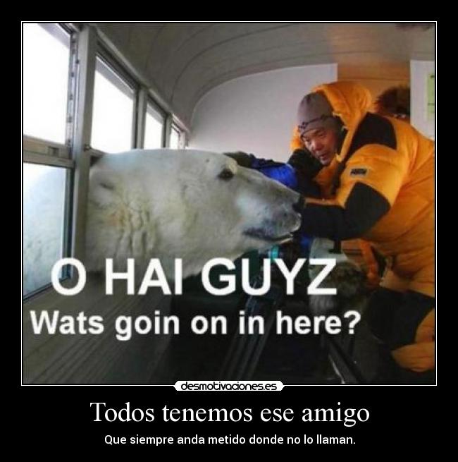 Todos tenemos ese amigo - Que siempre anda metido donde no lo llaman.
