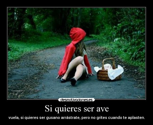 carteles gatonegro desmotivaciones