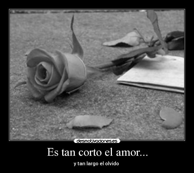 Es tan corto el amor... -