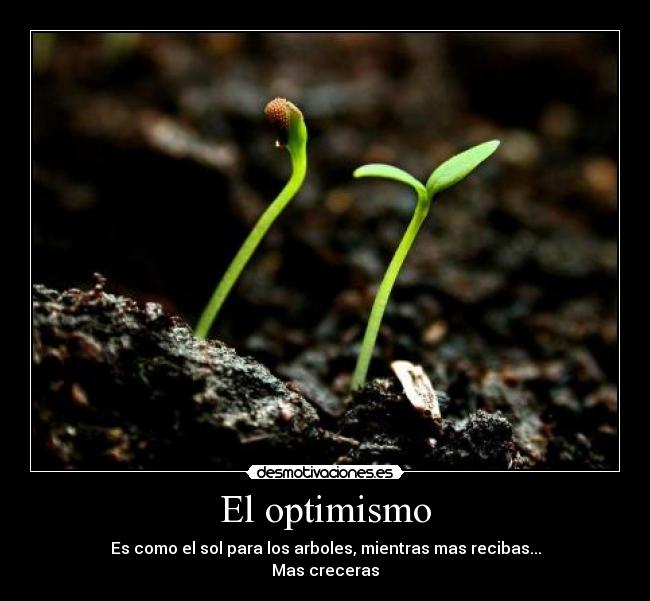 El optimismo - 