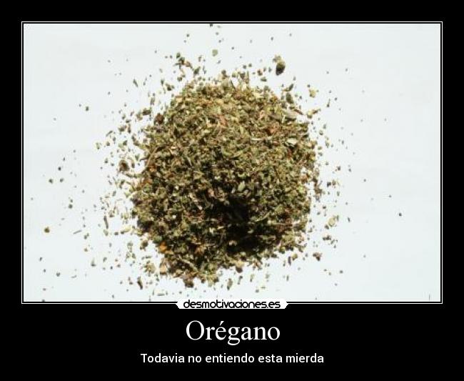 Orégano - Todavia no entiendo esta mierda