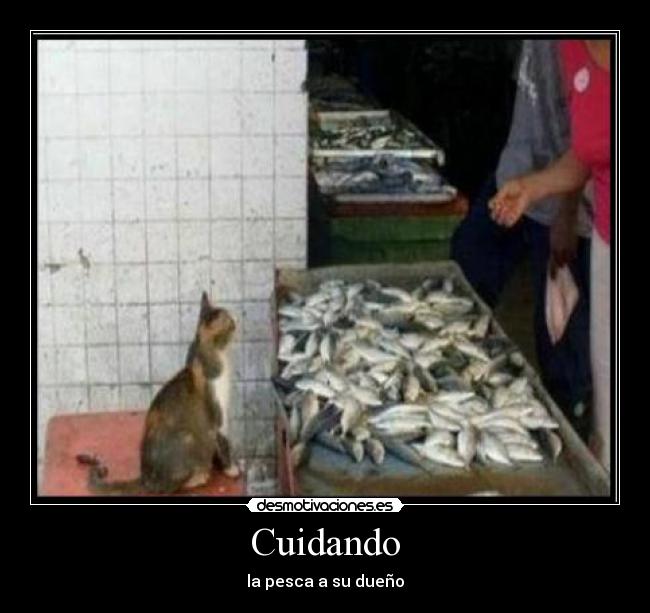 Cuidando - 