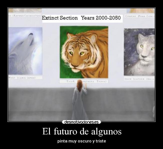 El futuro de algunos - pinta muy oscuro y triste
