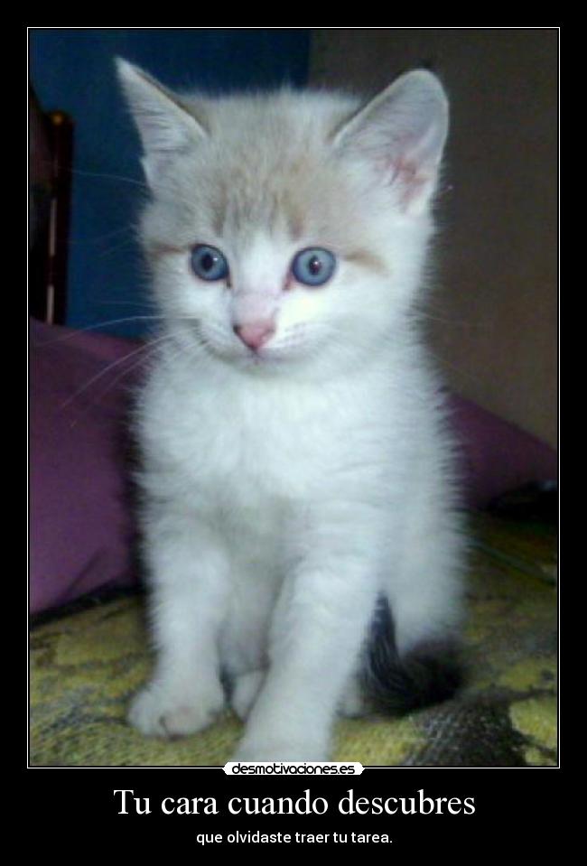 Tu cara cuando descubres - que olvidaste traer tu tarea.