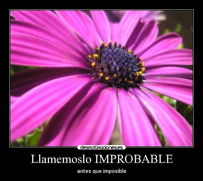 Llamemoslo IMPROBABLE -