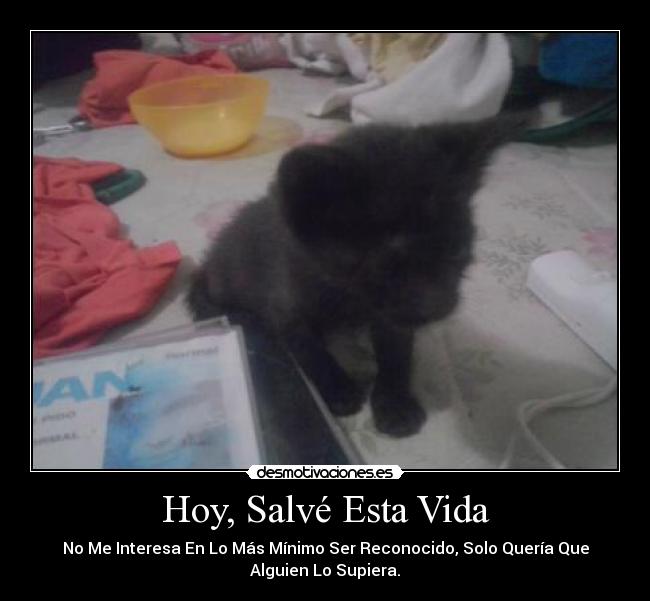 Hoy, Salvé Esta Vida -