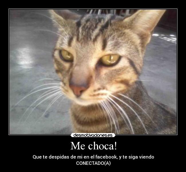 Me choca! - Que te despidas de mi en el facebook, y te siga viendo
CONECTADO(A)