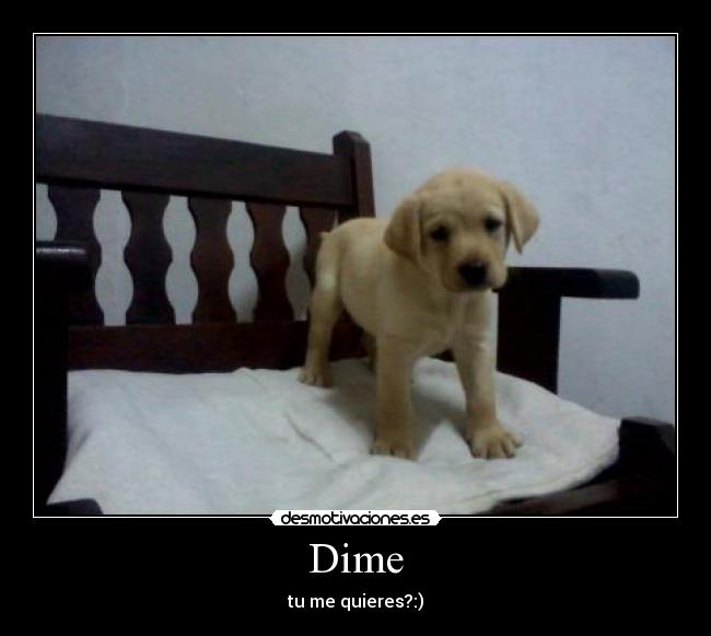Dime - 