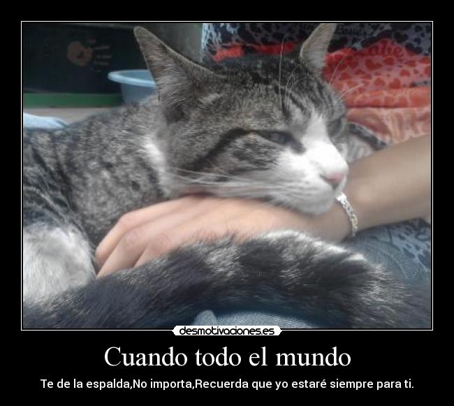 carteles mundo siempre estare para desmotivaciones