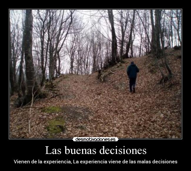 Las buenas decisiones - Vienen de la experiencia, La experiencia viene de las malas decisiones