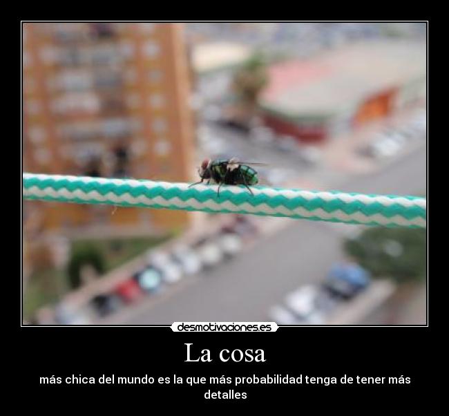 La cosa - más chica del mundo es la que más probabilidad tenga de tener más detalles