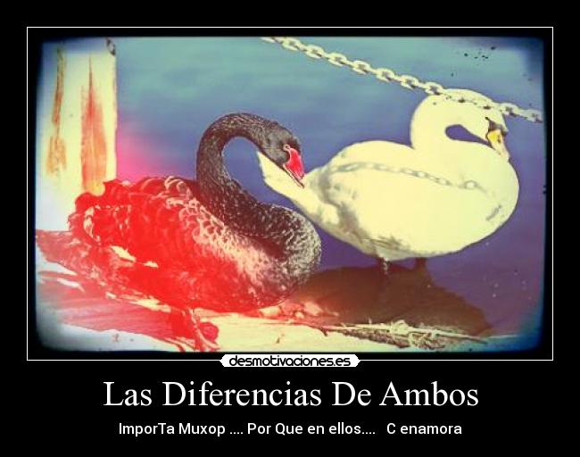 Las Diferencias De Ambos - ImporTa Muxop .... Por Que en ellos.... ♥ C enamora