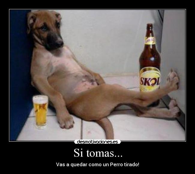 Si tomas... -
