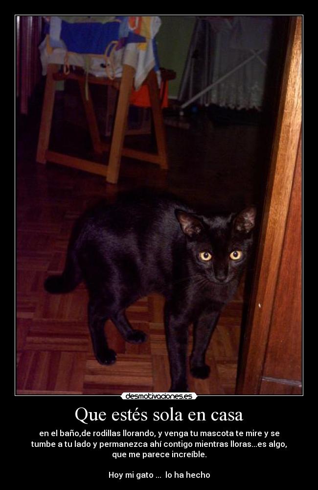 carteles casa miworld desmotivaciones