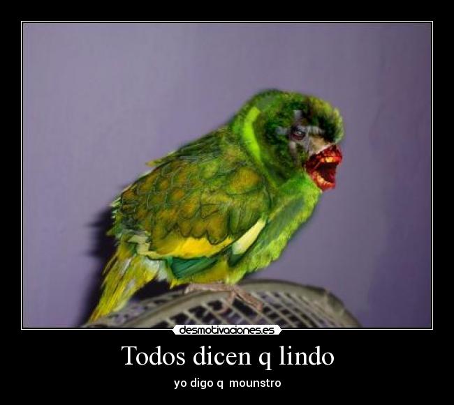 carteles sss desmotivaciones