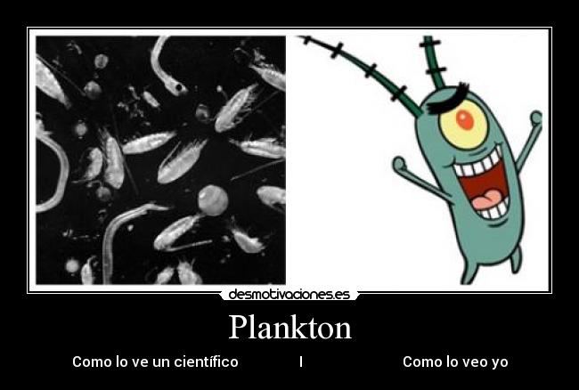 Plankton - Como lo ve un científico I Como lo veo yo