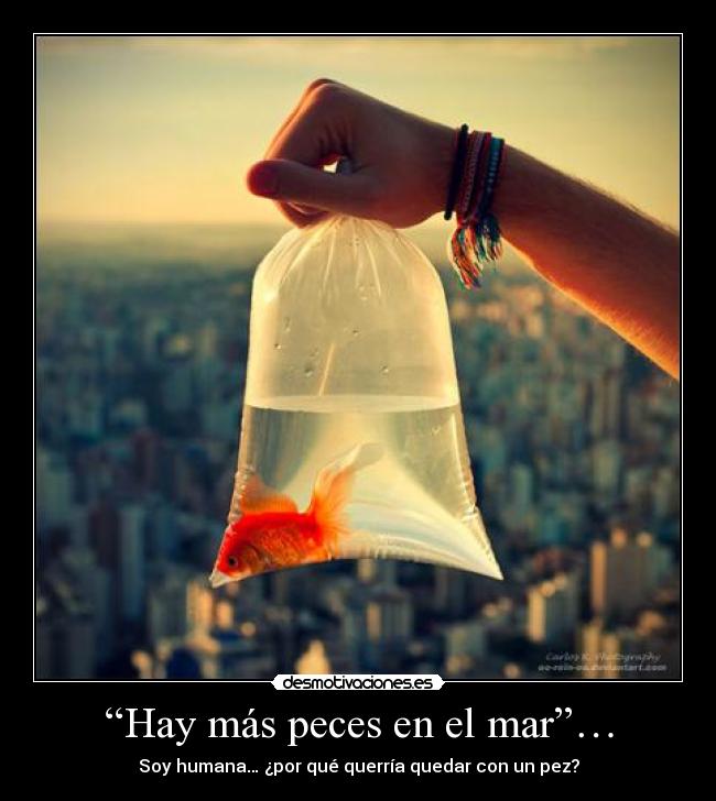 “Hay más peces en el mar”… - 