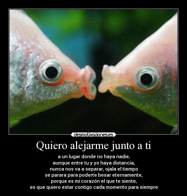 Quiero alejarme junto a ti - a un lugar donde no haya nadie,
aunque entre tu y yo haya distancia,
nunca nos va a separar, ojala el tiempo
se parara para poderte besar eternamente,
porque es mi corazón el que te siente,
es que quiero estar contigo cada momento para siempre