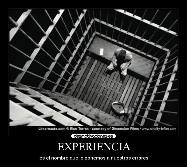 EXPERIENCIA - 