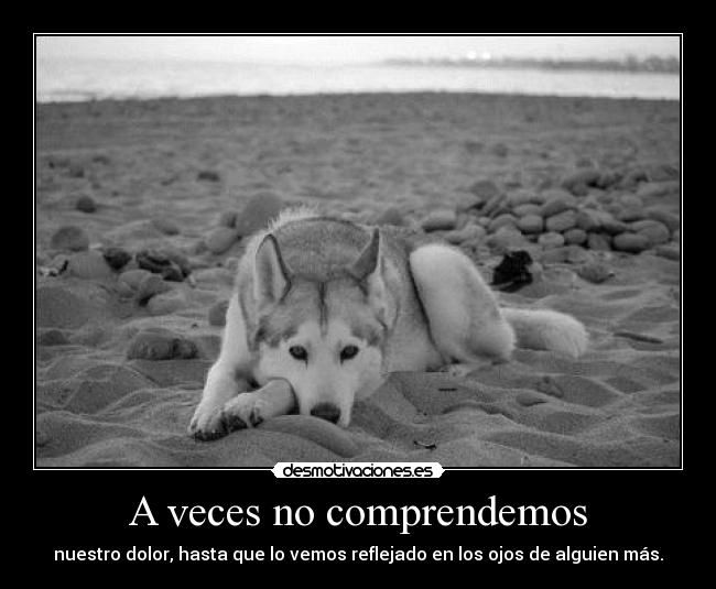A veces no comprendemos -