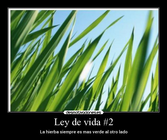 Ley de vida #2 - La hierba siempre es mas verde al otro lado