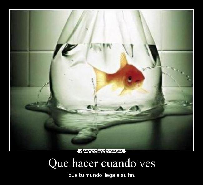 Que hacer cuando ves -