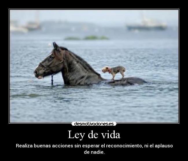 Ley de vida - Realiza buenas acciones sin esperar el reconocimiento, ni el aplauso de nadie.
