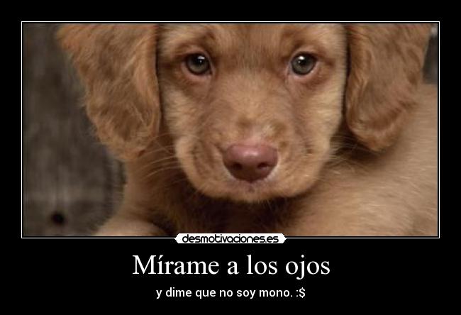 Mírame a los ojos -
