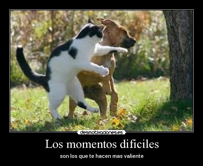 Los momentos dificiles - 