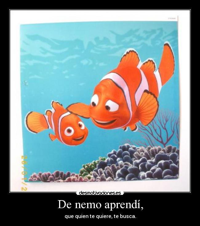 De nemo aprendí, -