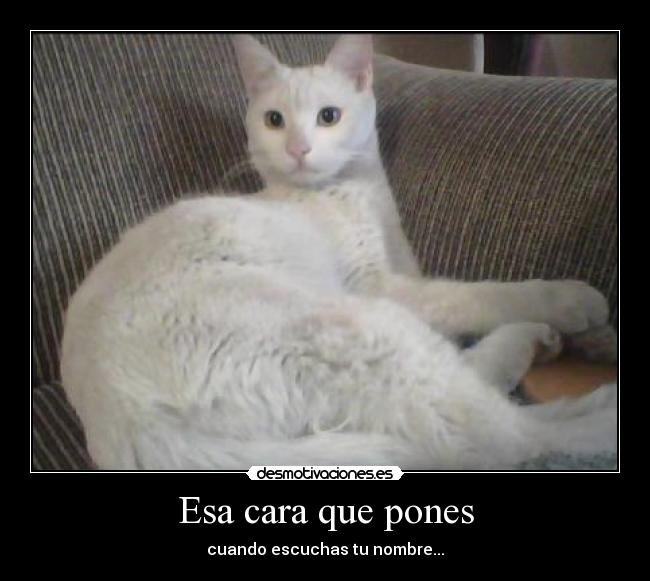 Esa cara que pones - cuando escuchas tu nombre...