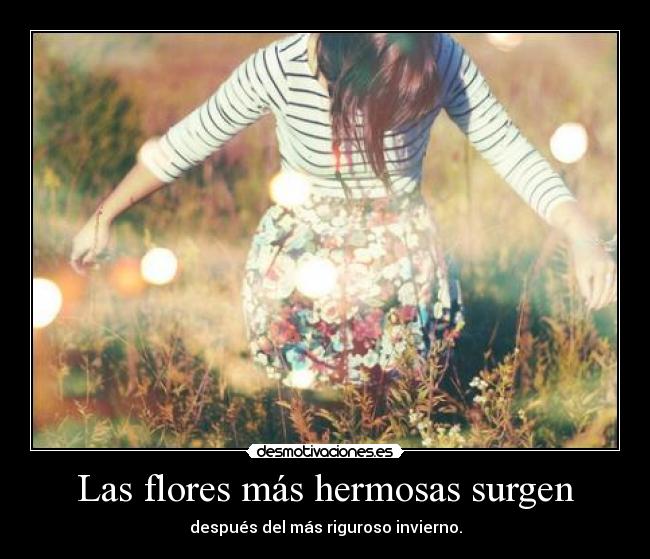 Las flores más hermosas surgen - 